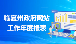 临夏州政府网站工作年度报表